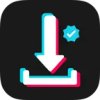 Snaptik Video Downloader for TikTok (видео загрузчик для ТикТок)