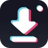 TikLoading - загрузчик видео с TikTok без водяного знака