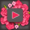 Видео открытки поздравления