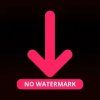 Like Video Downloader No Logo