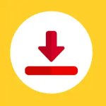 MP4 video downloader