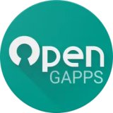 Open GApps manager
