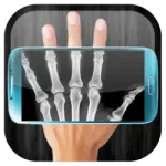 X-Ray сканер