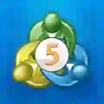 MetaTrader 5