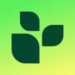Lifesum premium