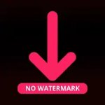 Like Video Downloader No Logo