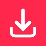 StorySaver: сохранение историй
