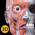 Анатомия - 3D атлас анатомии человека