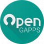 Open GApps manager