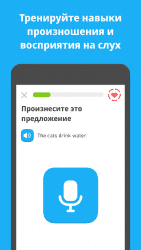 Duolingo
