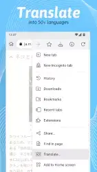 Kiwi Browser - Fast & Quiet