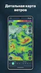 Windy.app: погода и ветер