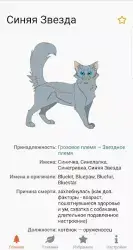 Коты-воители: герои книг