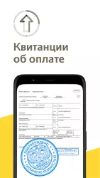 Авто Штрафы ПДД