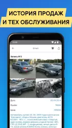 Автобот – проверка автомобиля по номеру