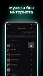 BOOM: музыкальный плеер