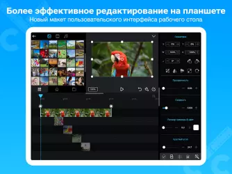 Cute CUT - видеоредактор