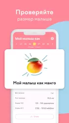Календарь беременности