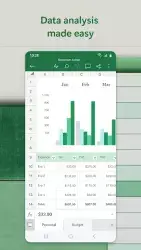 Microsoft Excel