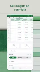 Microsoft Excel