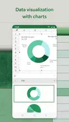 Microsoft Excel
