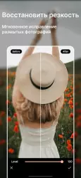 PhotoDirector