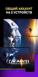 SPB TV Россия