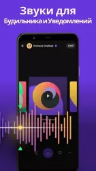 ZEDGE Ringtones & Wallpapers