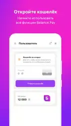 Balance Pay