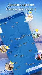 Местный прогноз погоды