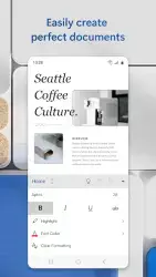 Microsoft Word