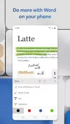Microsoft Word