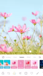 Aillis - Filters & Stickers