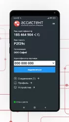 Ассистент - удаленный доступ