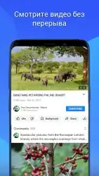 GoTube