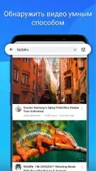 GoTube