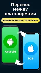 Перенос данных