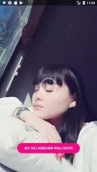 Video Wallpaper