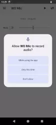 WO Mic