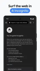 Chrome Beta