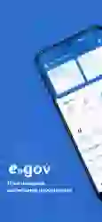 eGov mobile