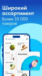 Лента онлайн