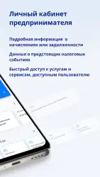 Личный кабинет предпринимателя