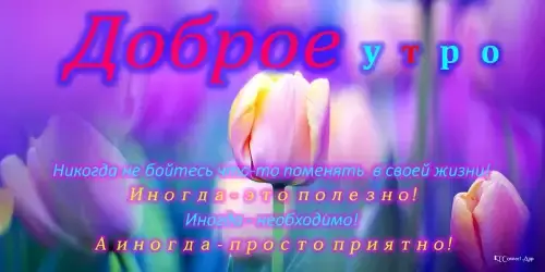 Доброе утро, день, ночи