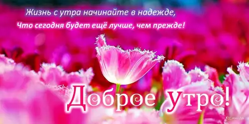 Доброе утро, день, ночи