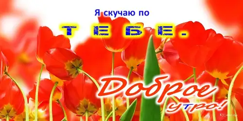 Доброе утро, день, ночи