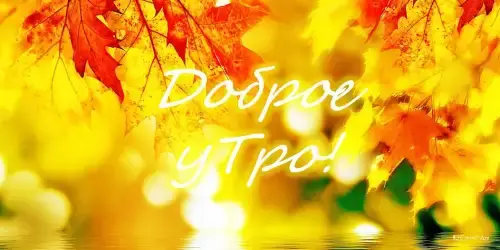 Доброе утро, день, ночи