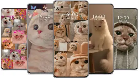 Милые обои с котиками