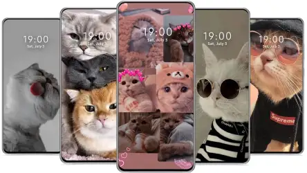Милые обои с котиками