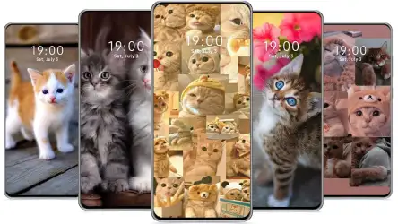 Милые обои с котиками
